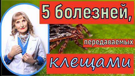 Основные симптомы заболеваний, передаваемых клещами