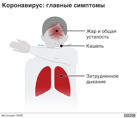 Основные симптомы COVID-19