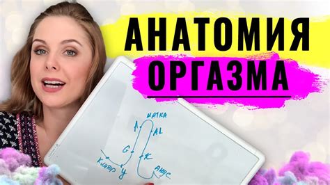 Основные типы женского оргазма