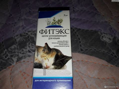 Основные факты о применении противоаллергических препаратов для кошек