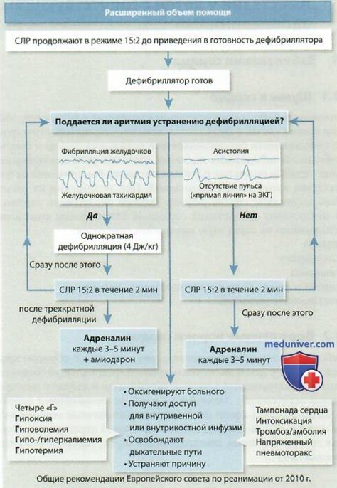 Основные шаги в реанимации Кати