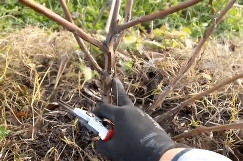 Основные шаги обрезки