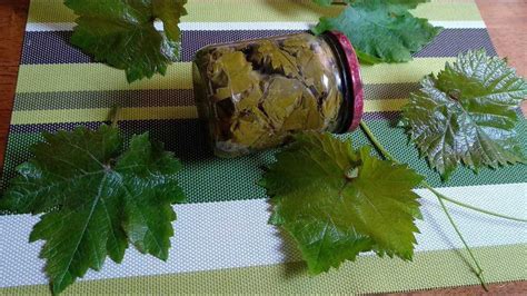 Основные этапы маринования виноградных листьев