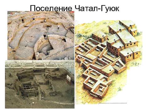 Основные этапы неолитической революции