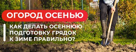Основные этапы подготовки грядок к зиме