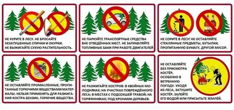 Особенности безопасности при нахождении в лесу или горах