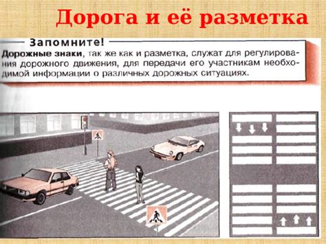 Особенности взаимодействия трамваев и пешеходов