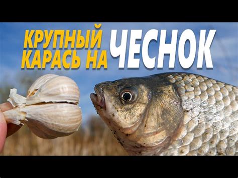 Особенности выбора снастей для ловли рыбы на паук