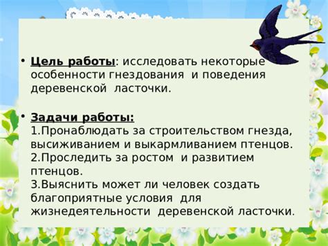 Особенности гнездования городских и сельских ласточек