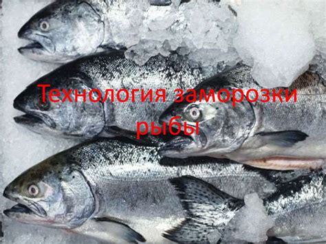 Особенности замораживания рыбы