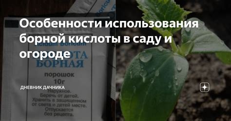 Особенности использования борной кислоты для конкретных сортов роз