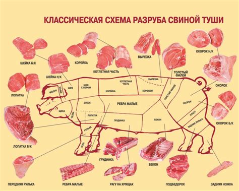 Особенности и рекомендации по даче сырой свинины собаке