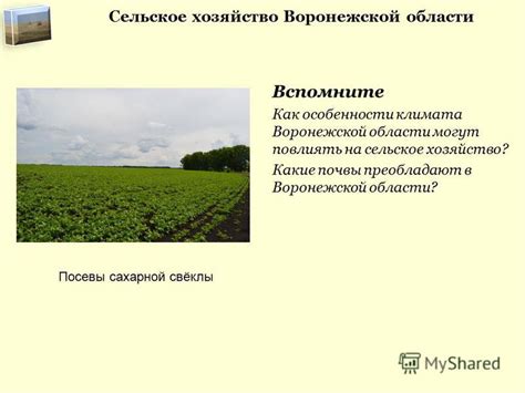 Особенности климата Ленинградской области