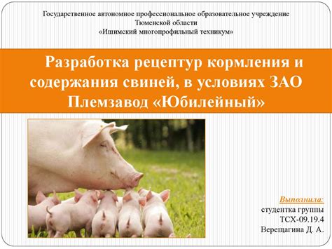 Особенности кормления