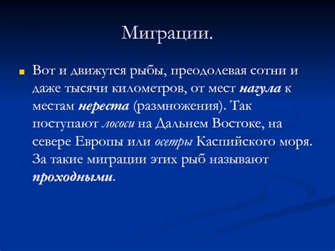 Особенности миграции кижуча для нереста