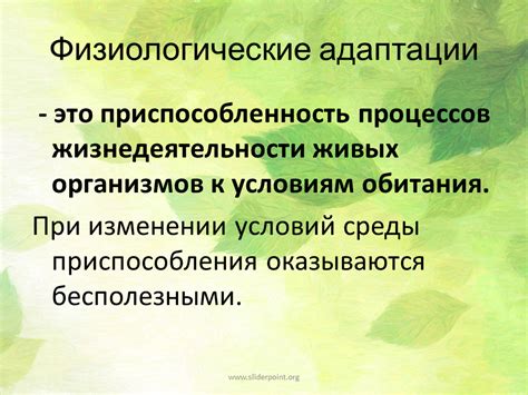 Особенности первых встреч и адаптации
