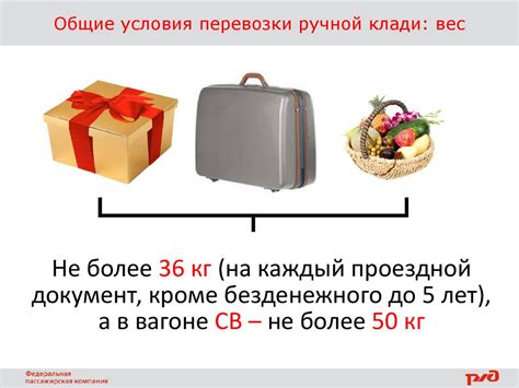 Особенности перевозки рыбы в ручной клади