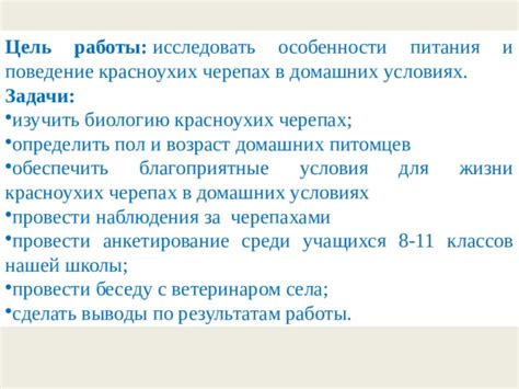 Особенности питания красноухих черепах