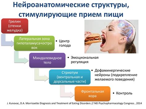 Особенности пищевого поведения ежей