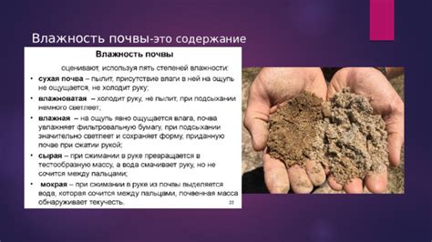 Особенности почвы в покрышках