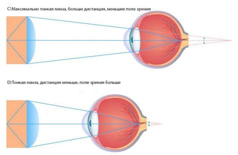 Особенности расположения зрения в воскресенье