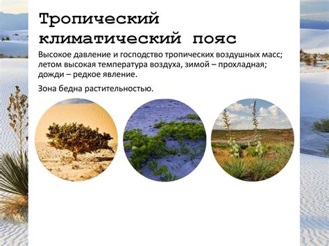 Особенности сбора в разных климатических условиях