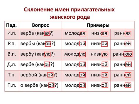 Особенности склонения имен собственных женского рода