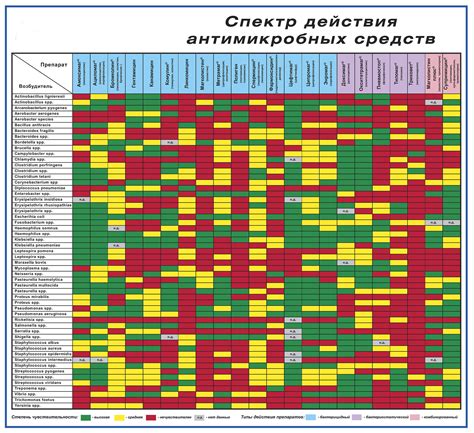 Особенности сочетания грейпфрута и антибиотиков