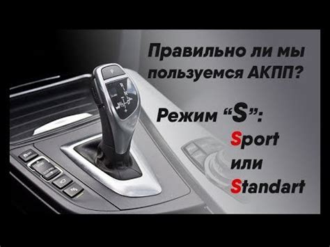 Особенности спорт режима