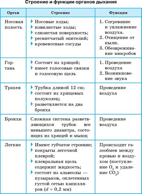 Особенности строения органов