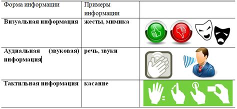 Особенности тактильной информации