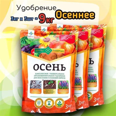 Особенности удобрения грядок в осенний период