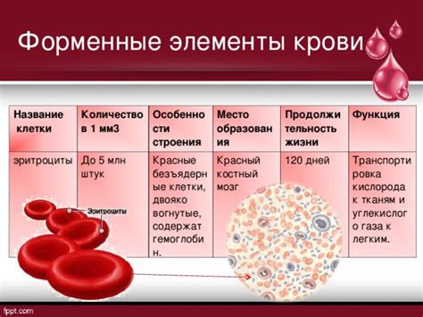 Особенности хранения крови после КТ