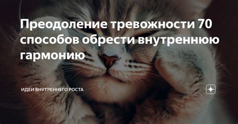 Остановите поиск внешнего одобрения и найдите внутреннюю гармонию