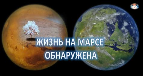 Ответ и аргументы ученых