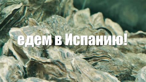Ответ придется вам по вкусу
