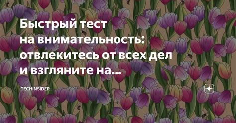 Отвлекитесь от стихотворений