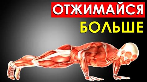 Отжимания как способ контроля давления