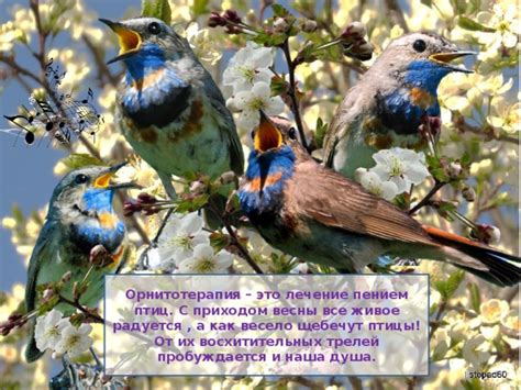 Отключение от шума города и замена его пением птиц