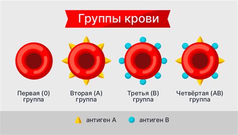 Открытие групп крови