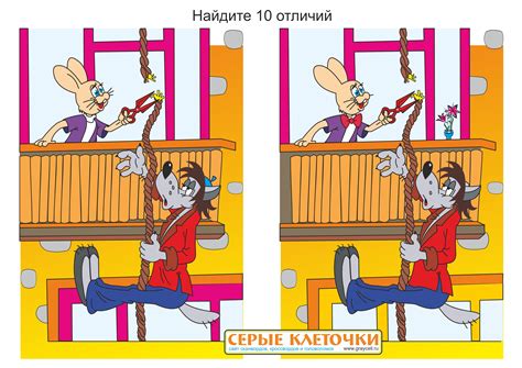 Отличия между пансексуализмом и объектофилией