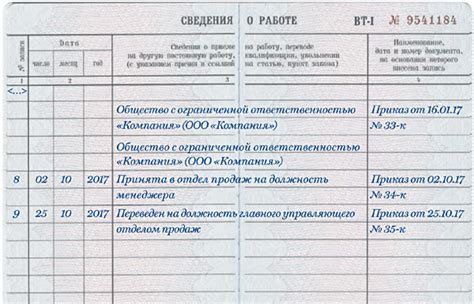 Отмена трудовых книжек в России: важные изменения и требования