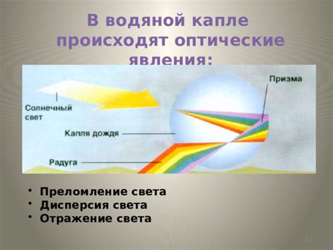 Отражение света: как деревья справляются с высокими температурами