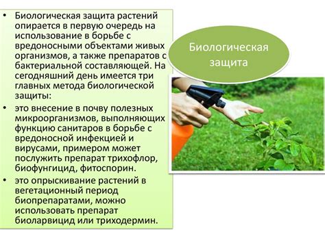 Отрицательные последствия совместного применения