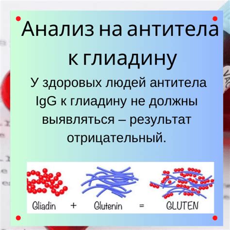 Отрицательный результат анализа на антитела IgG