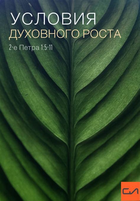Отсутствие духовного роста