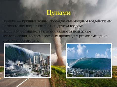 От тайфунов до цунами: природные катаклизмы на море