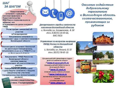 Оформление заявления и представление документов