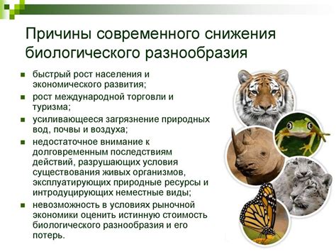 Охрана и сохранение вида