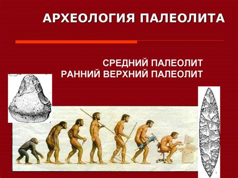 Палеолит Европы: первые доказательства населения